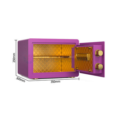 Kleurrijk Huis Dual Alarm System Veiligheids kluisje YB/SC-25