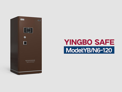 YB-N6-120-huis kluis